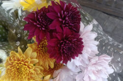 AP Flower