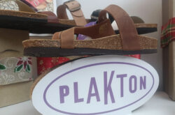 Plakton