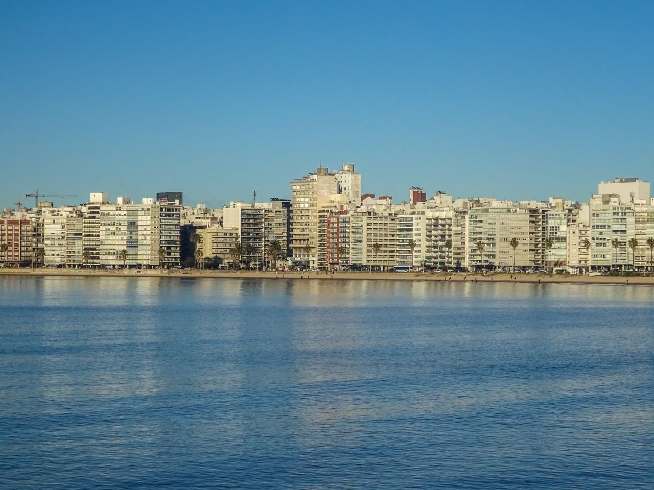 Apartamentos_en_Venta_en_Buceo_Guía_para_Comprar